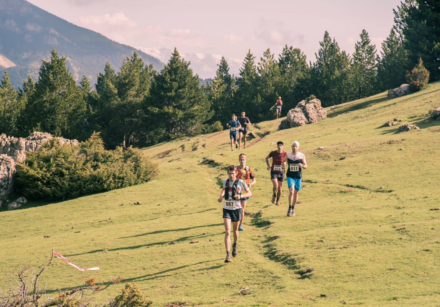 Vista de los bosques y lomas abiertas de Rasos de Peguera durante la Cursa de Muntanya de Berga con el Prepirineo catalán de fondo