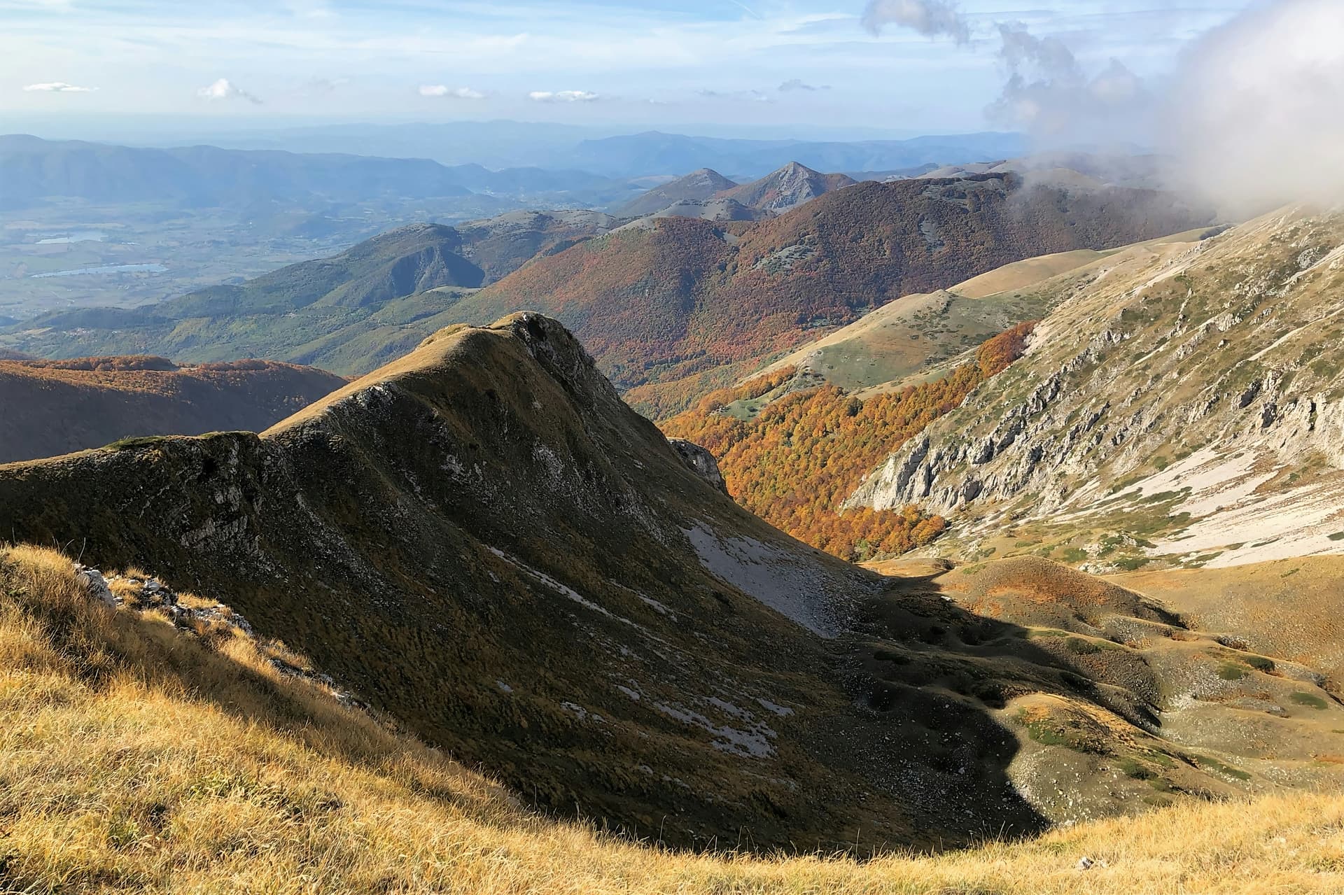 Salomon Run Barcelona - 10K