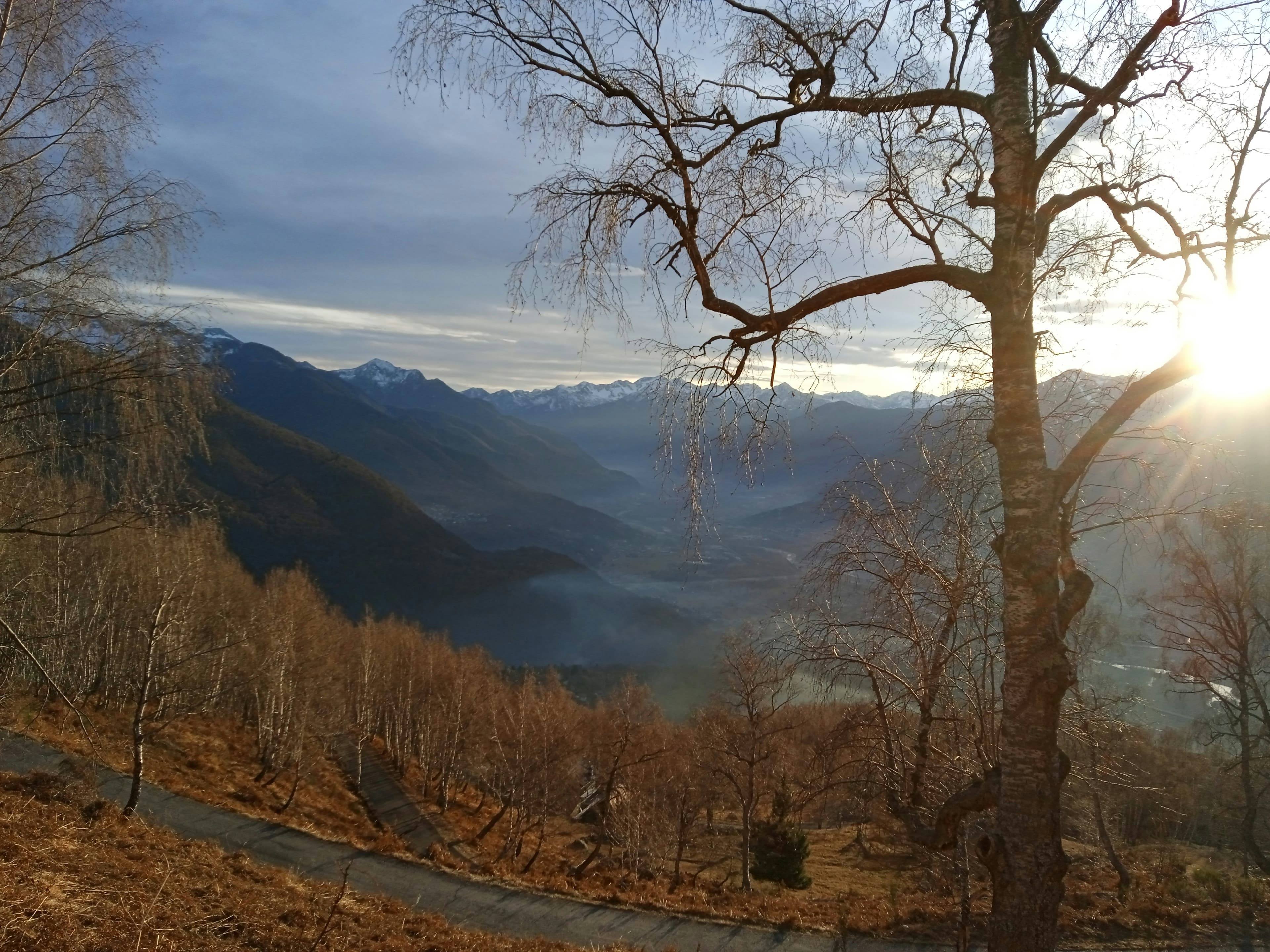 Trail L'Enxerinada 12K